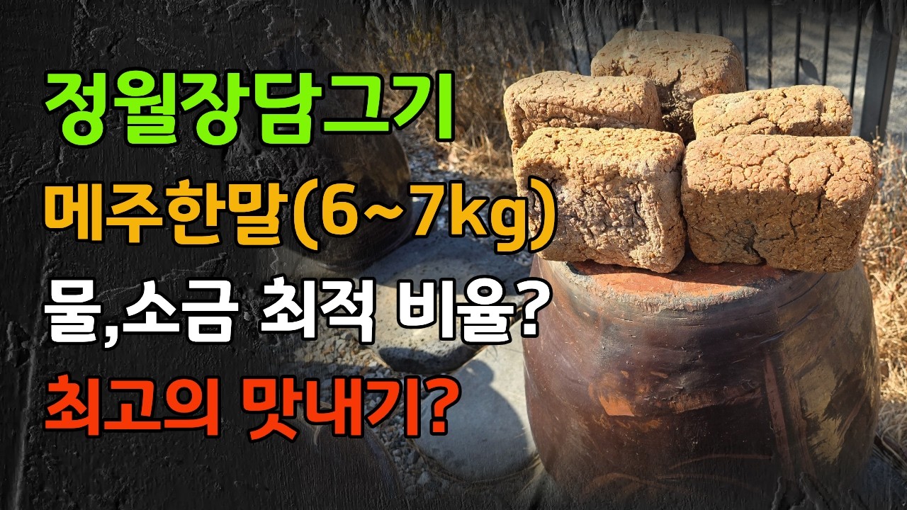 정월장담그기.  장담그는날. 실패없는장담그기.  메주한말최적비율.  장담기염도맞춤. 장담기소금양물양은?