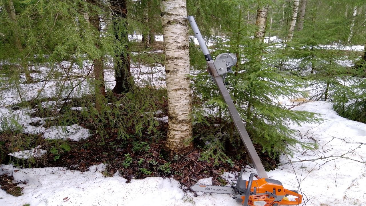 omavalmiste PuunKaatotunkki