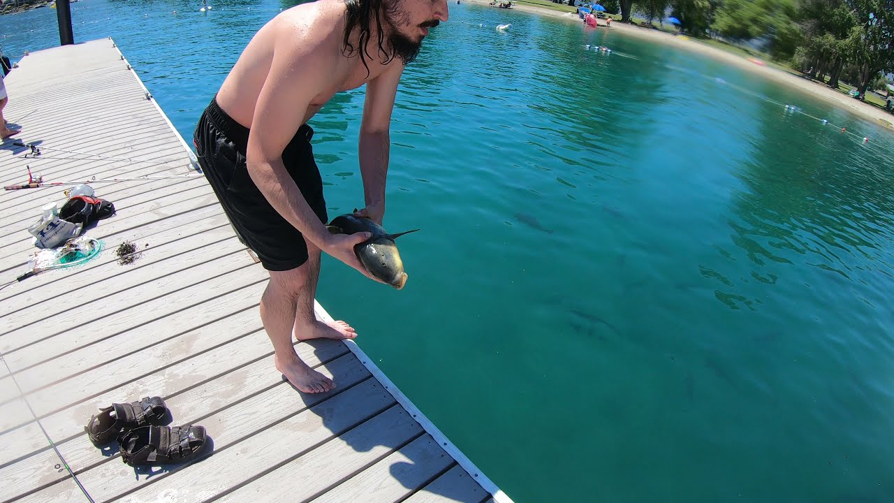 Underwater Fish Release Fail