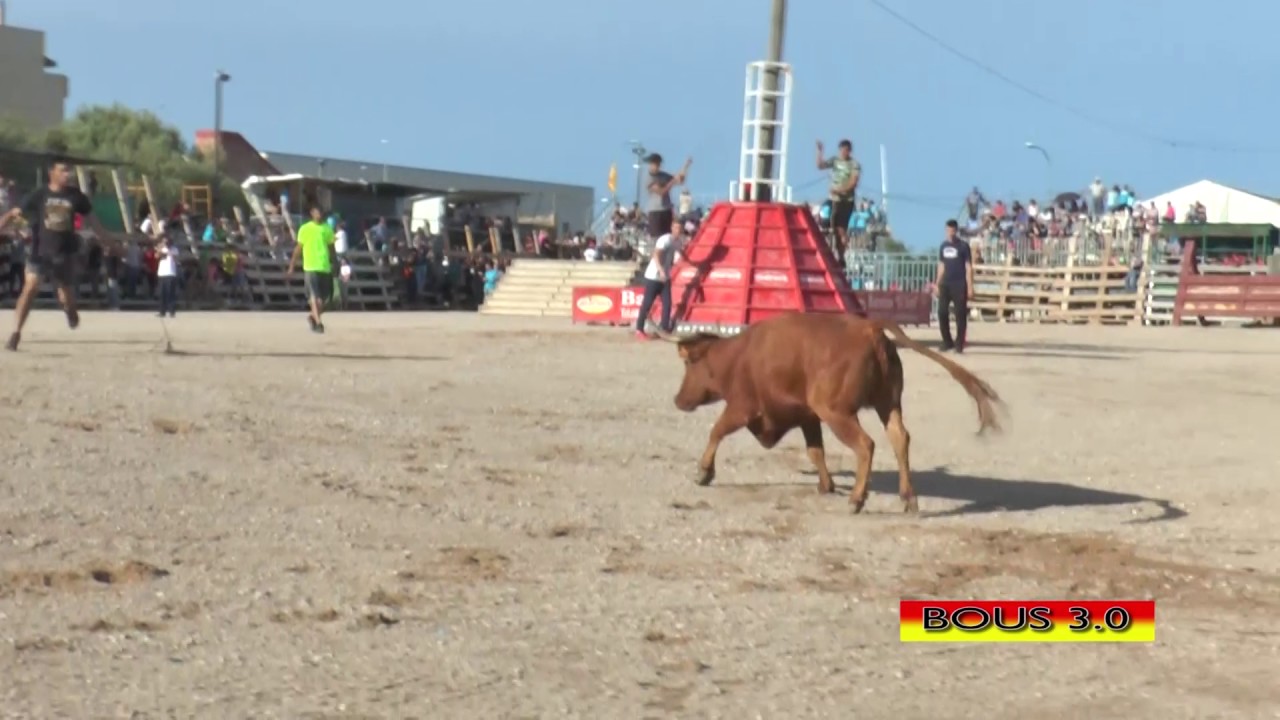 2017 05 17 ALCANAR HNOS OZCOZ  MANZANERITA N&ordm;211