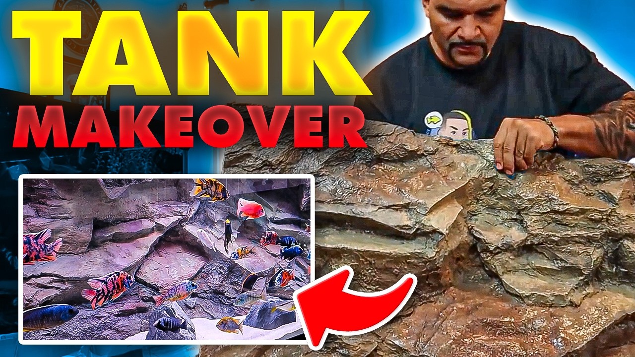 Fish Tank Background Like You've Never Seen!