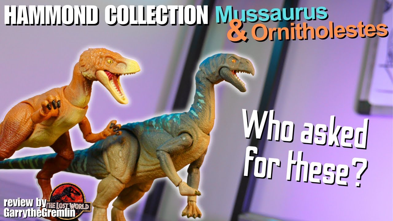 Has the Hammond Collection fallen off?