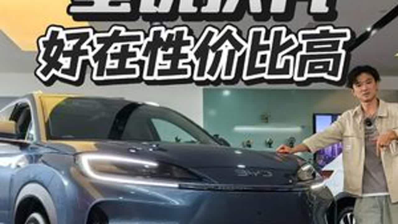 海狮07 DM-i:我是换壳，但是性价比更高了！