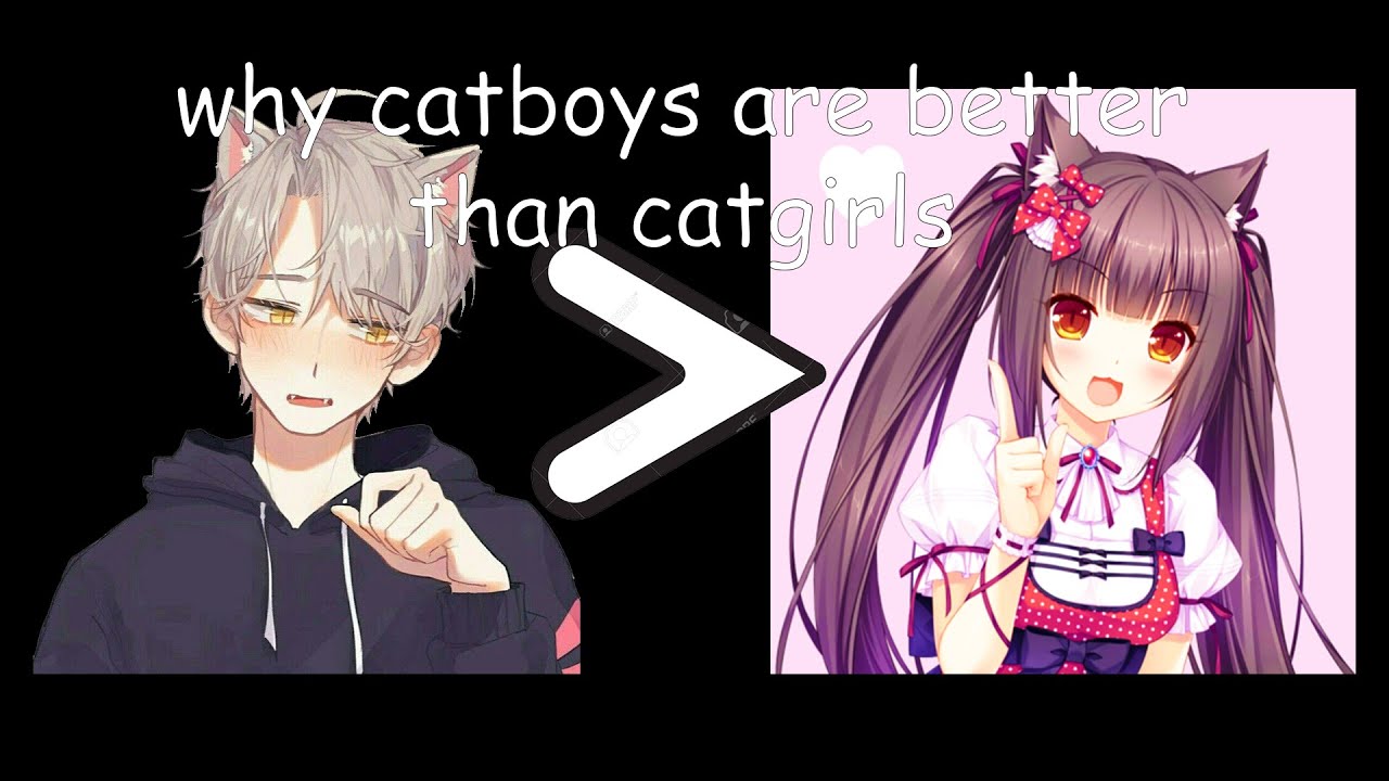 why catboys are better than catgirls
