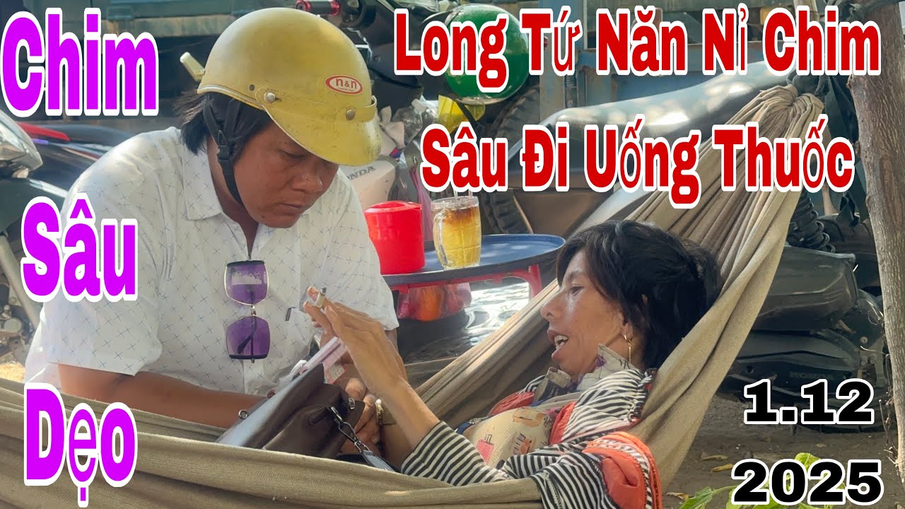 Long Tứ Năng Nỉ Chim Sâu Đi Uống Thuốc Quá Yêu #phimhay #mientay #yeucuocsong #giadinh 