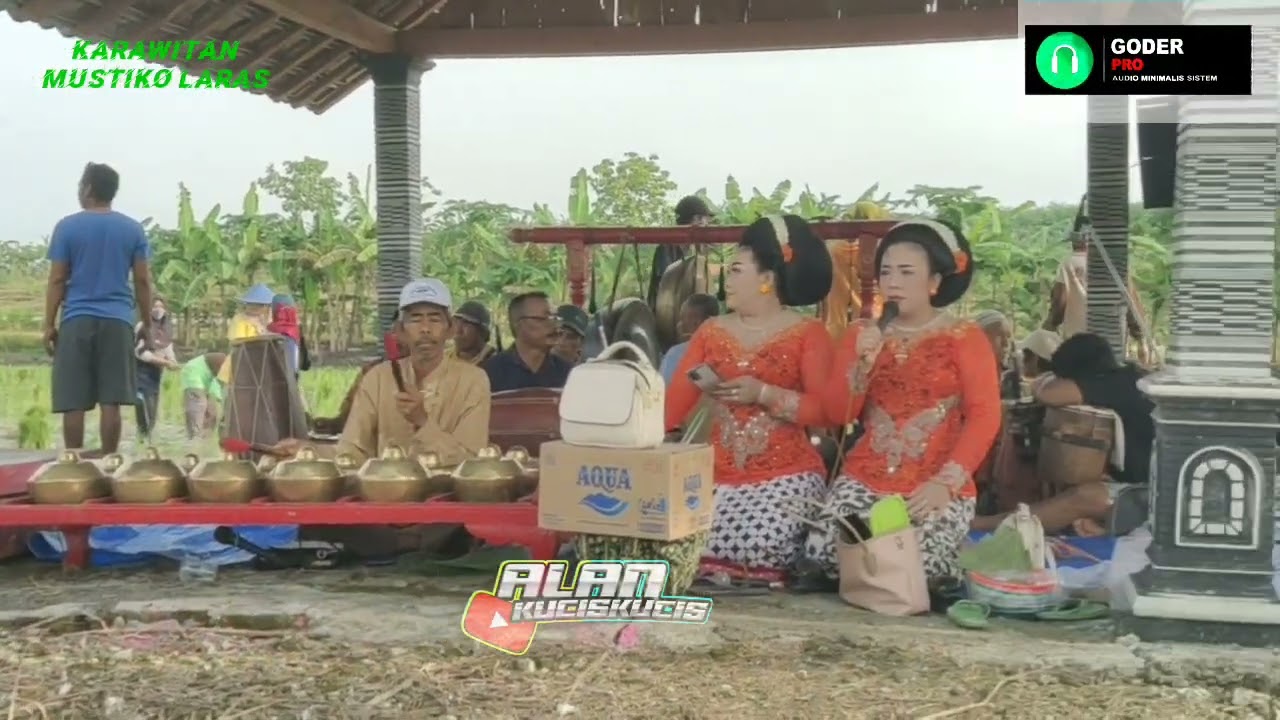 Tanam Padi Di desa Mojodelik Dihibur Langgam Tayub  Tradisi Adat Tiap Tahun Saat Tanam Padi