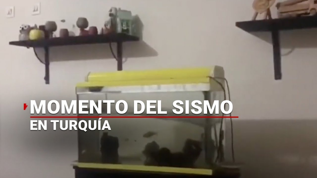 #ÚLTIMAHORA | Así se sintió el sismo de magnitud 7,8 con epicentro en Turquía