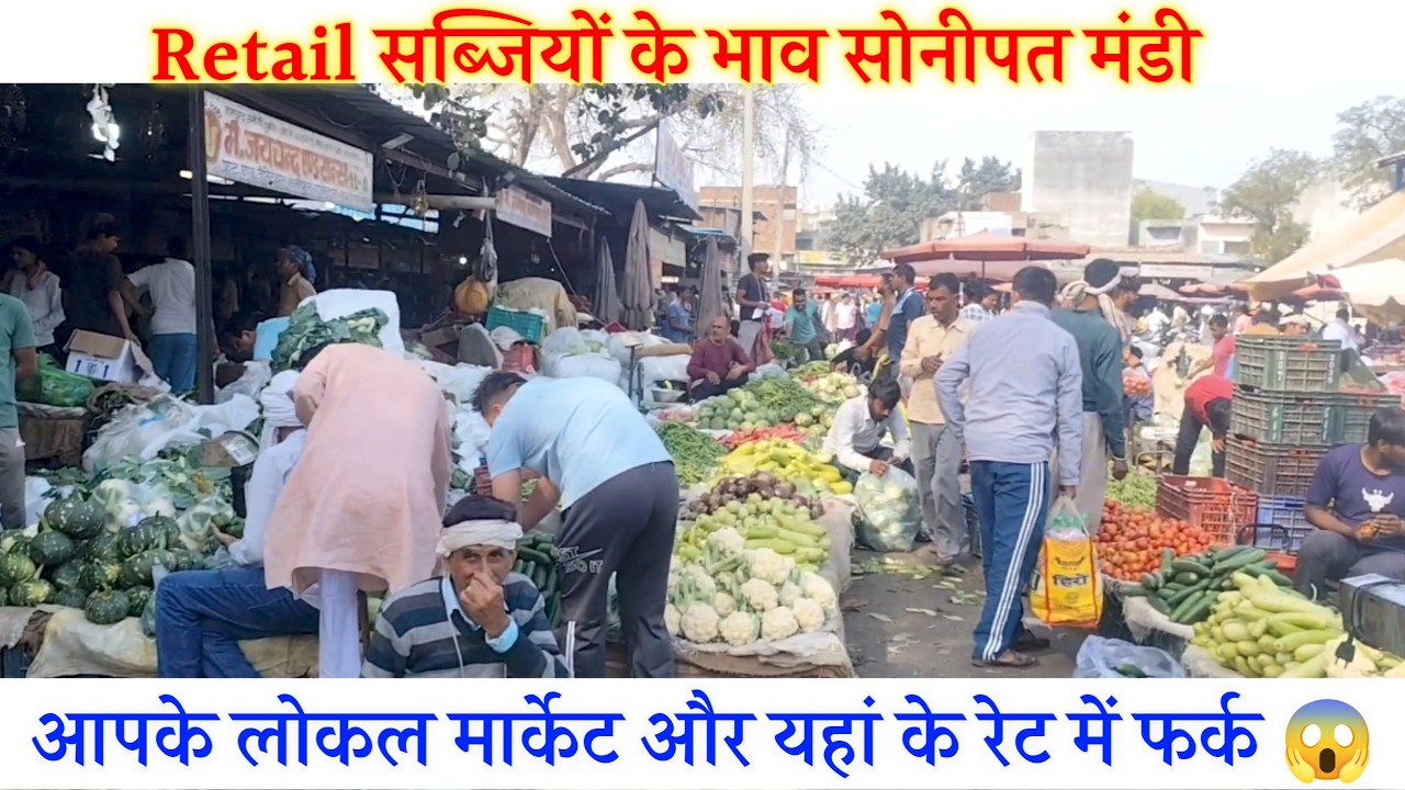 हरी सब्जियों का रिटेल खुदरा भाव सोनीपत मंडी | today vegetable rates retail in Sonipat Mandi