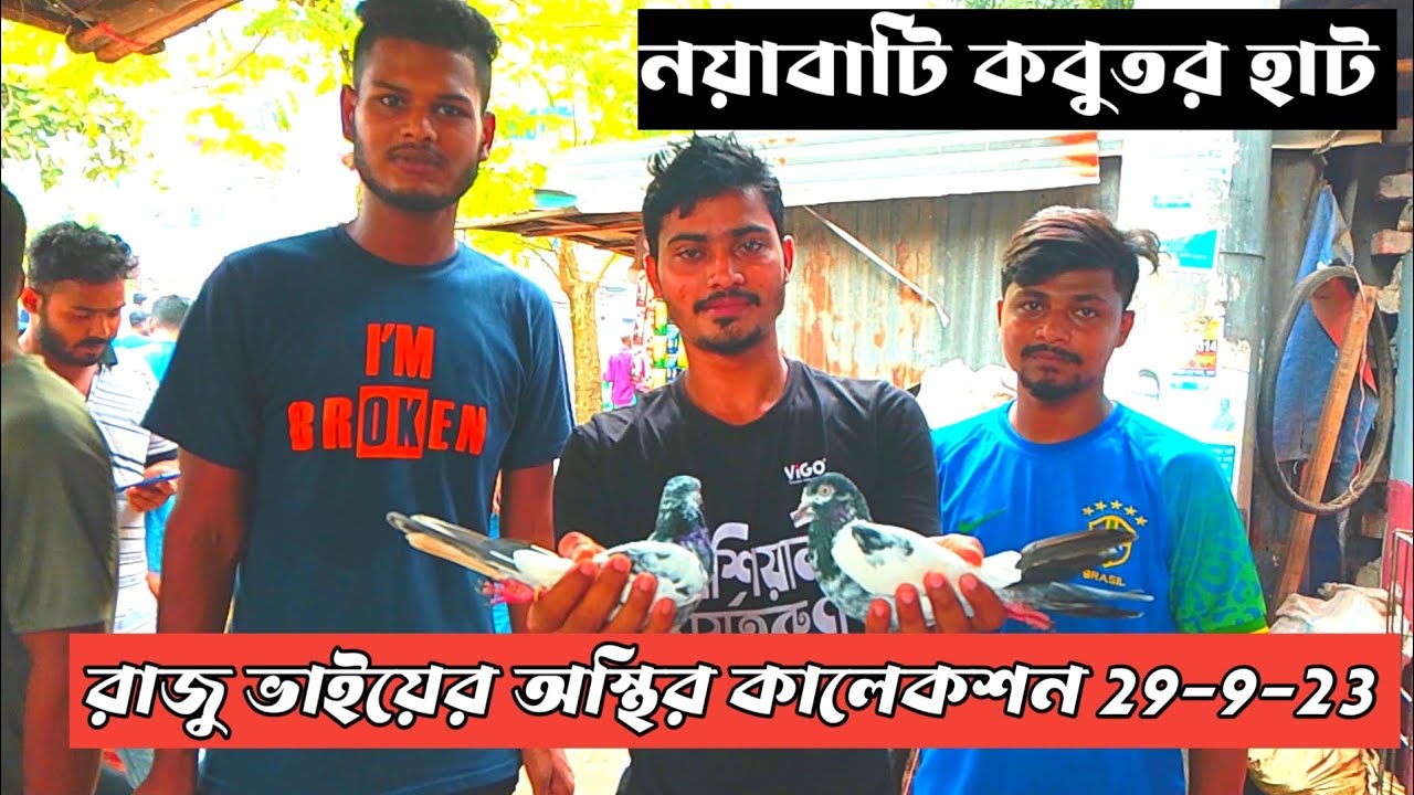 রাজু ভাইয়ের অস্থির কালেকশন 29-9-23 Nayabati kobutor hat Khulna