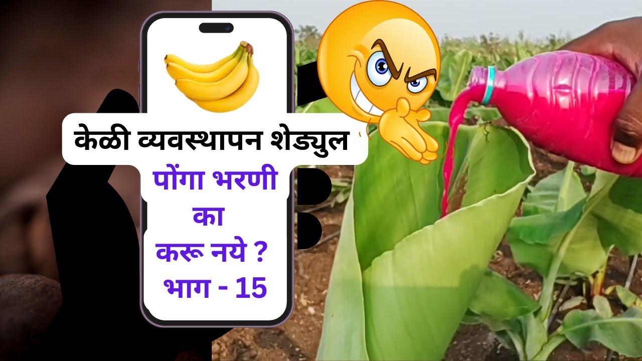 भाग - १५ - पोंगा भरणी का करू नये