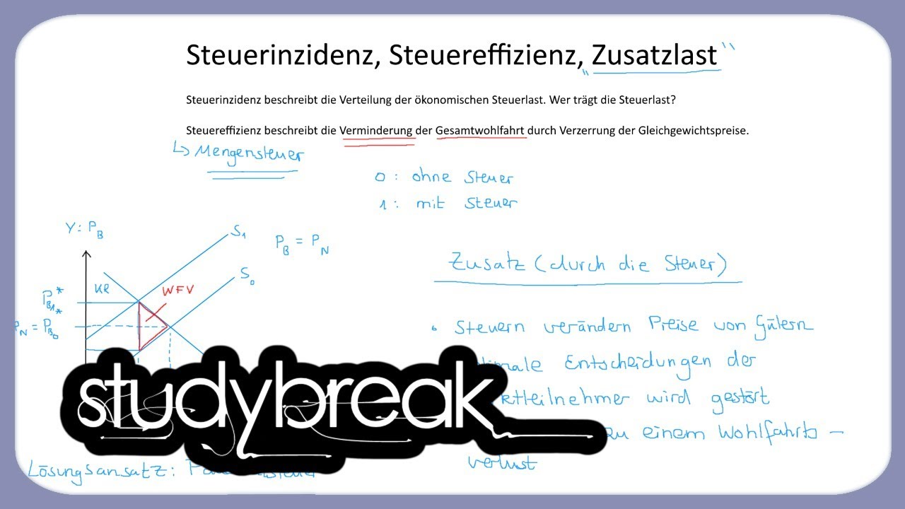 Steuerinzidenz, Steuereffizienz, Zusatzlast | Steuerlehre