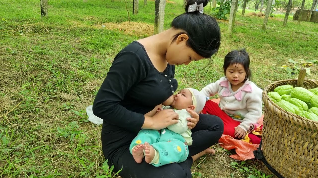 single mom ; With my 90-day-old baby, Harvesting chayote to sell and buy clothes for my baby