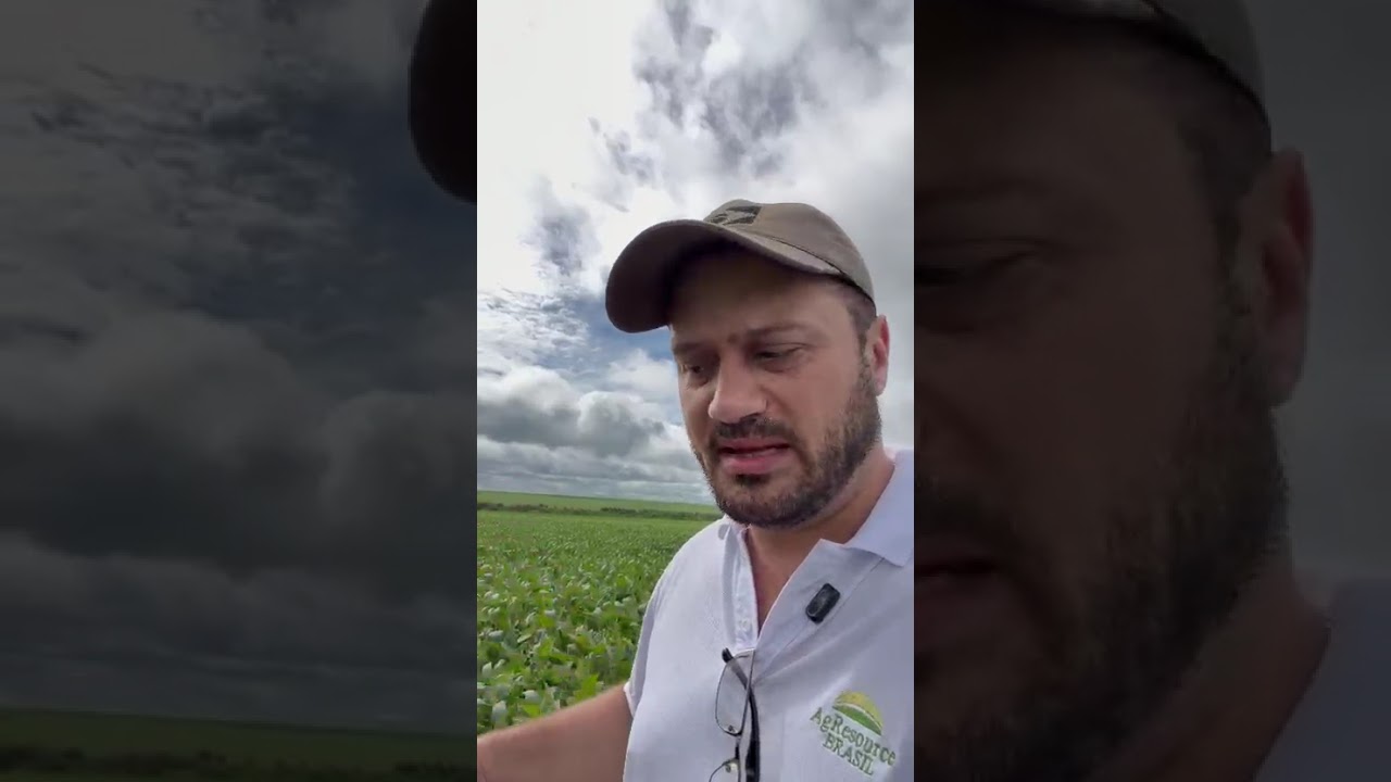 3º dia do Crop Tour em Nova Mutum e adjacentes. Soja na região p/ Sta. Rita do Trivelato impressiona