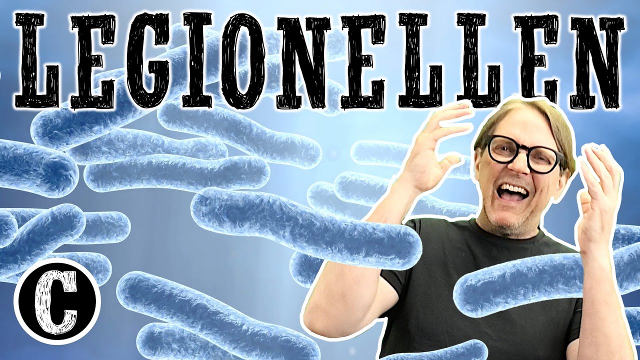 Legionellen - Wissenswertes zur Warmwasser Hygiene