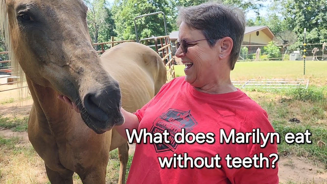 No teeth? No problem!