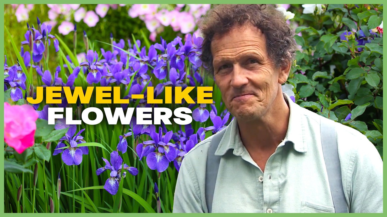 Monty Don's Vibrant Late-Summer Plants | Season 3 | Gardeners' World