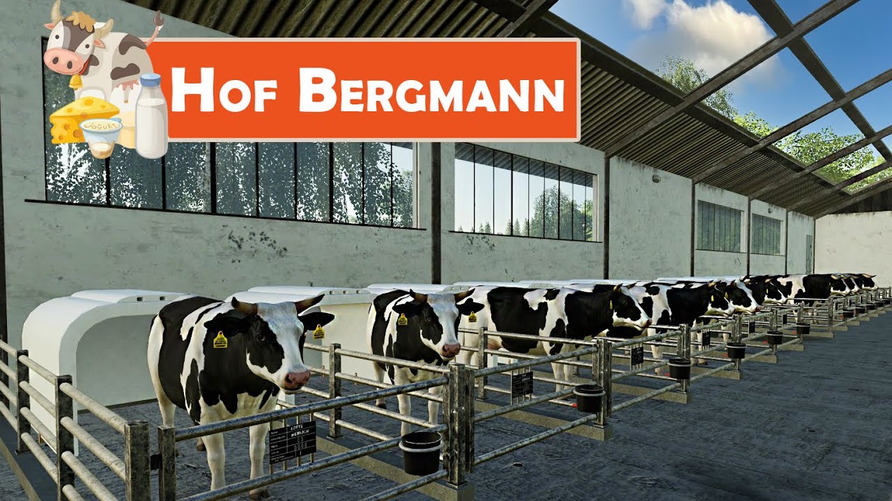 LS19 HOF BERGMANN #302: Alle Kälber ausgewachsen | LANDWIRTSCHAFTS SIMULATOR 19