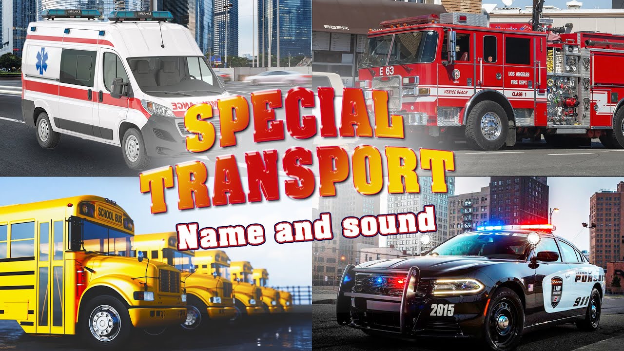 We study special transport for children | Fun game | Names and sound