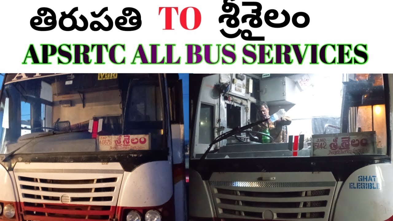 APSRTC All Bus Services From Tirupathi To Srisailam || Telugu