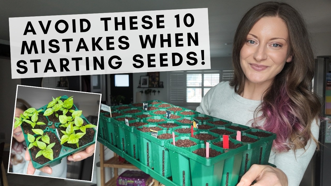 Stop making these seed starting mistakes (10 things that could kill your seedlings)