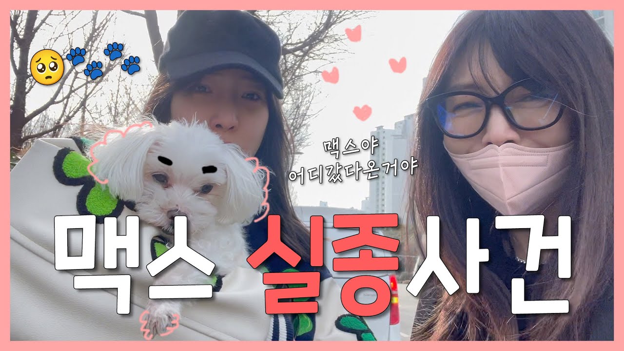 맥스 실종사건!! 🐾🚨ㅣ📍호떡 장인 할머니 맛집 방문👵 ㅣ 강아지 실종 신고, 호떡 맛집. 신당동 호떡 할머니, Vlog