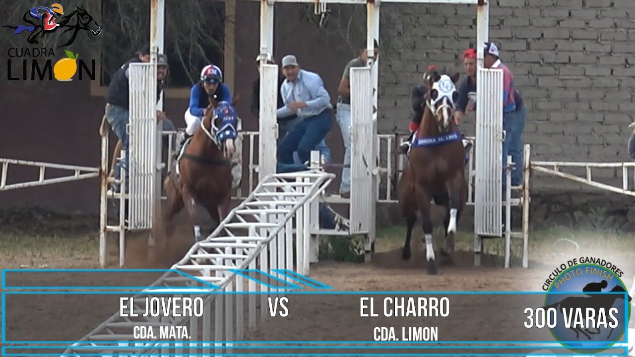 EL CHARRO CDA. LIMÓN VS EL JOVERO CDA. MATA. 300VARAS.