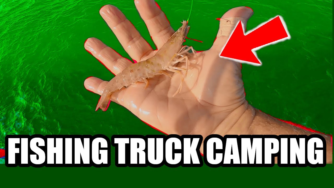 Pier Fishing Sebastian 3 Days Truck Camping (Eating What I Catch)