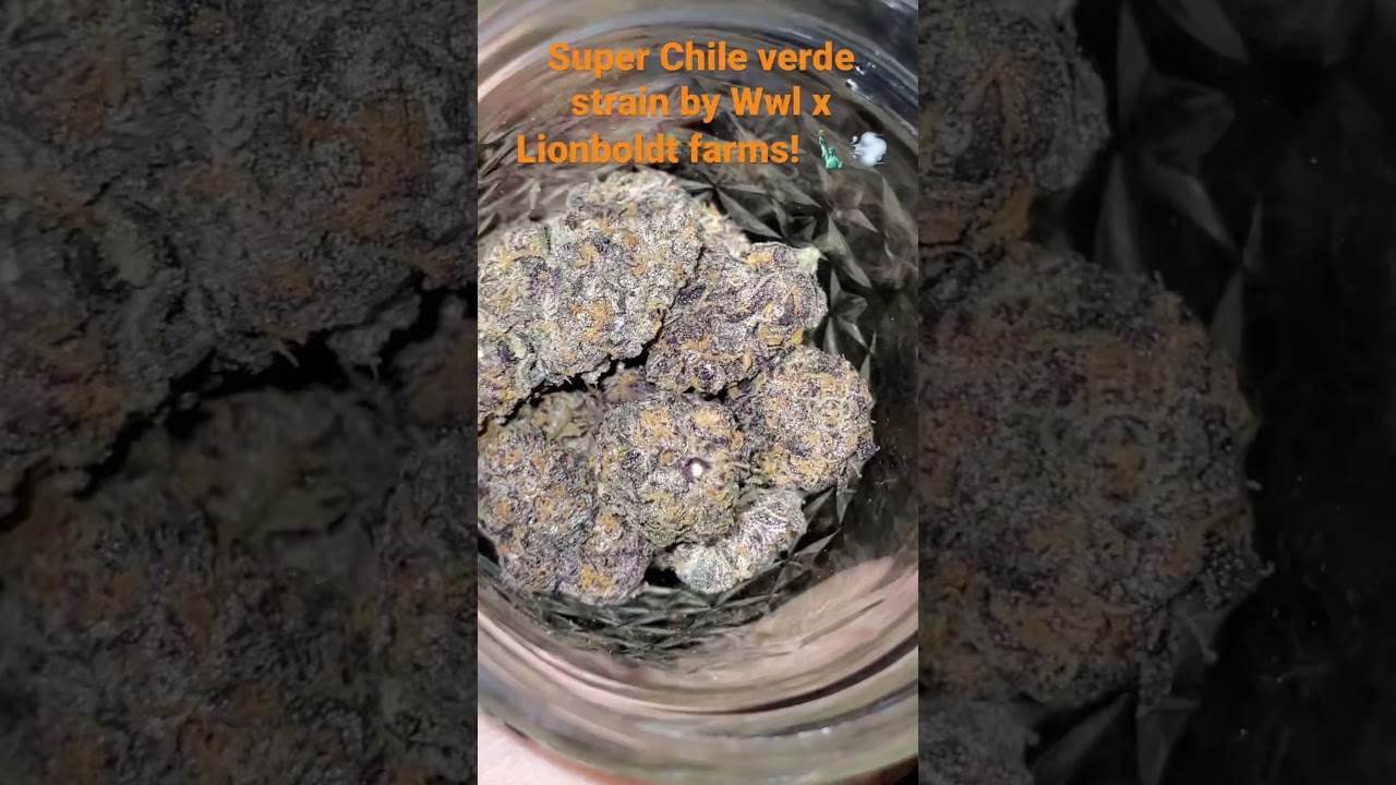 Super Chile verde strain by Wwl x Lionboldt farms 🗽💨 #whatsinyourbag?