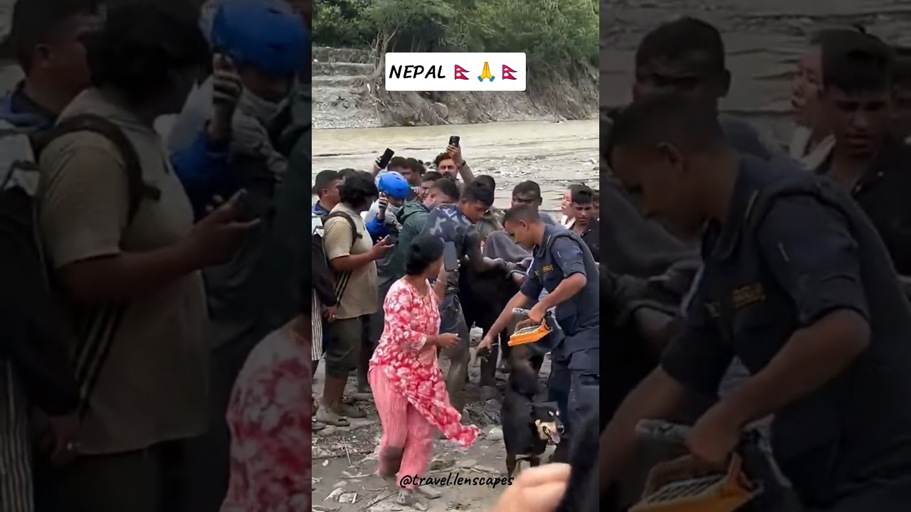 Pray for Nepal 🇳🇵🙏🇳🇵#shorts #shortvideo #shortsfeed #nepal #nepali #disaster #youtubeshorts