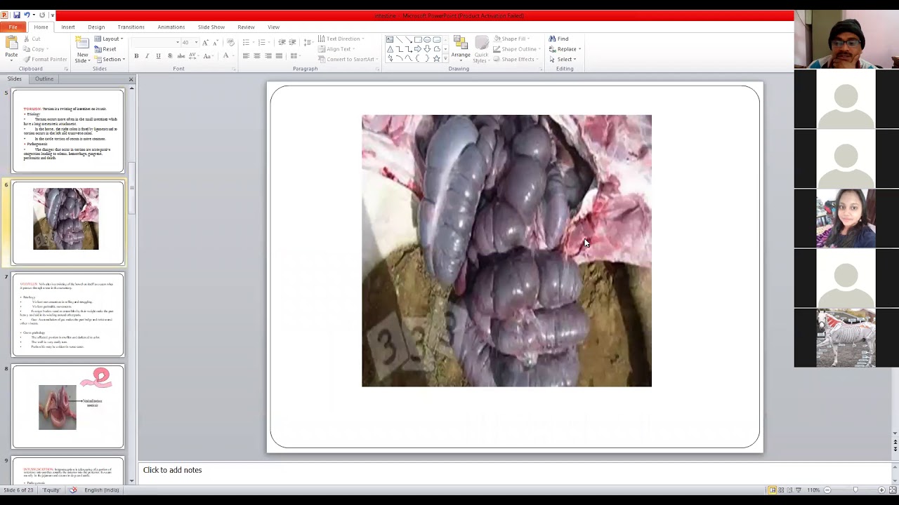 Pathology of Digestive System-3 Dr. Sanjiv Kumar, Dept. of Veterinary Pathology, BVC, Patna