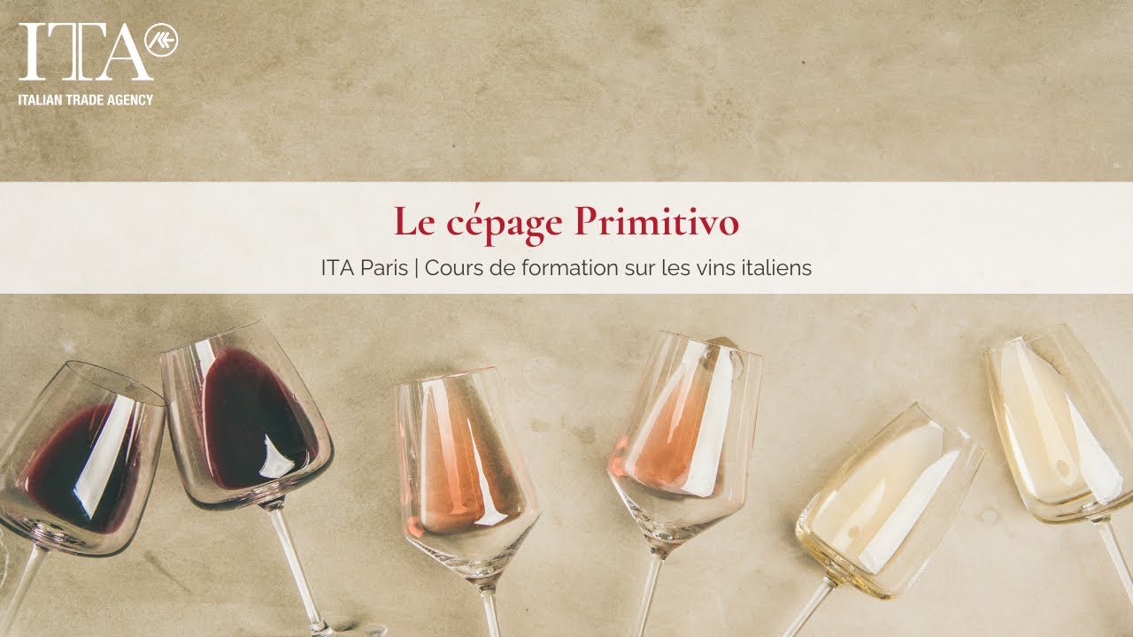 8) Le c&eacute;page Primitivo