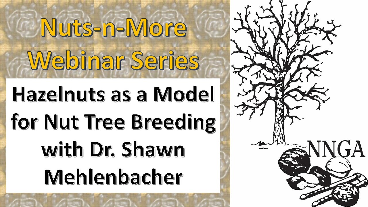 Hazelnuts as a Model for Nut Tree Breeding I Nuts-n-More Webinar Series