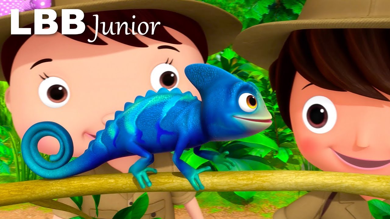 Animals That Camouflage | Original Songs | By LBB Junior