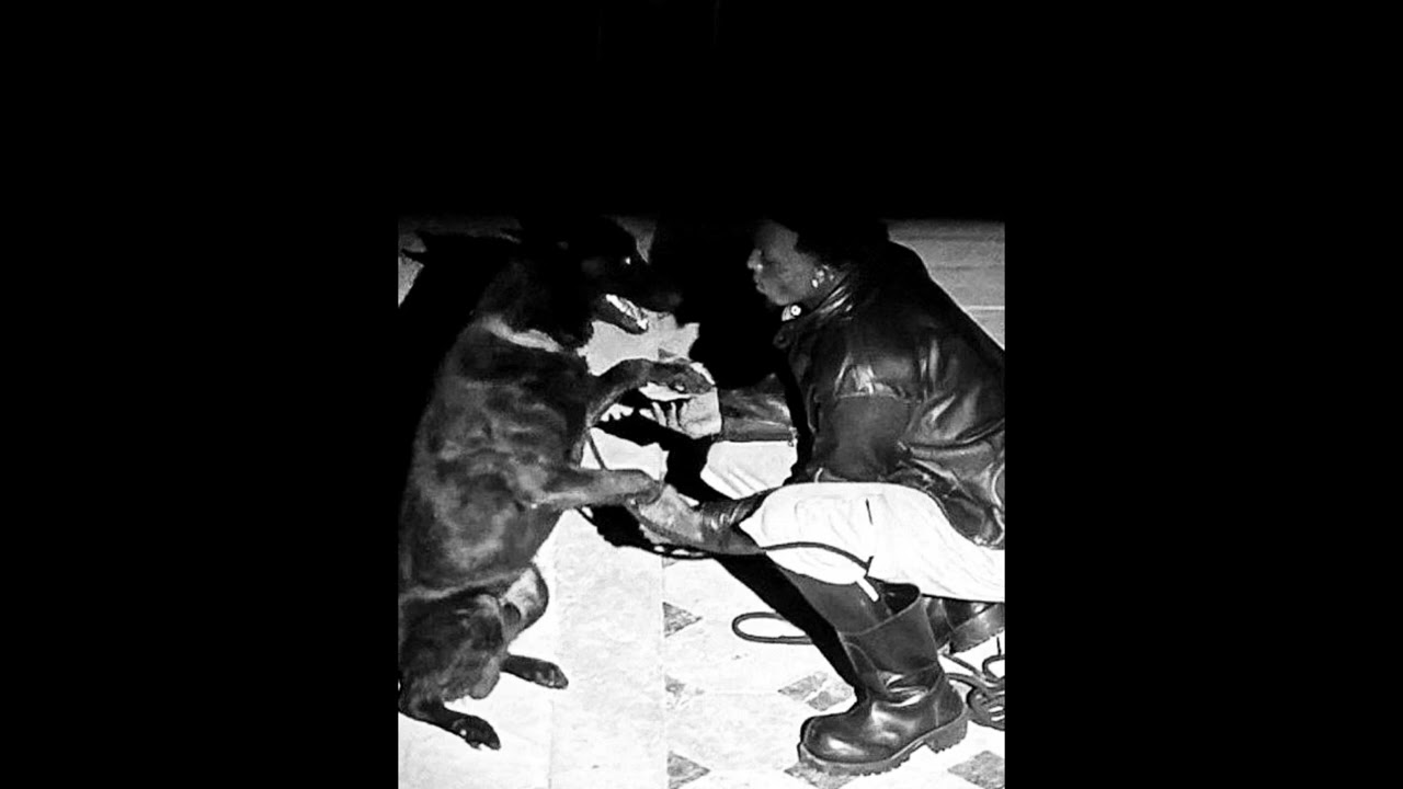 Playboi carti type beat 