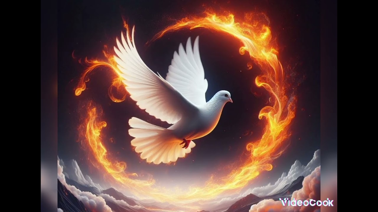 Oración al Espíritu Santo🕊️🕊️🕊️🕊️