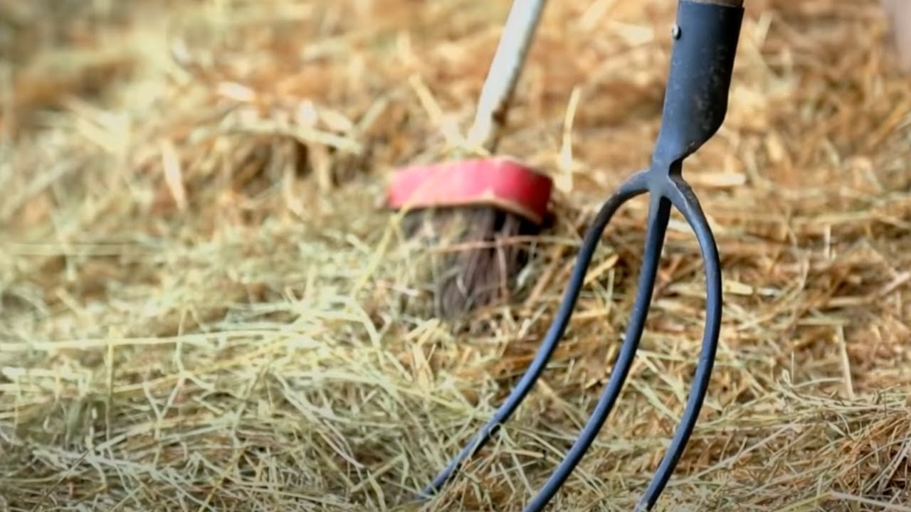 Les agriculteurs de demain