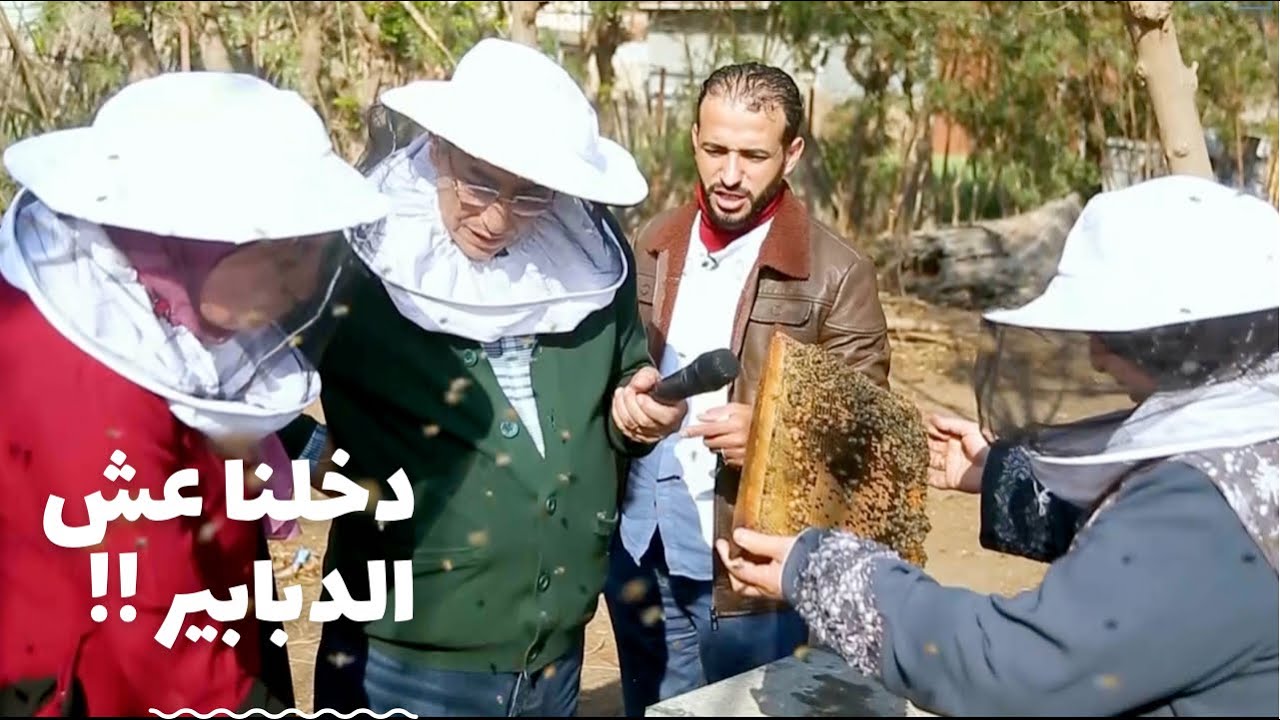 باب الخلق| أغرب منحل في مصر.. بيصدر النحل مش العسل!!!