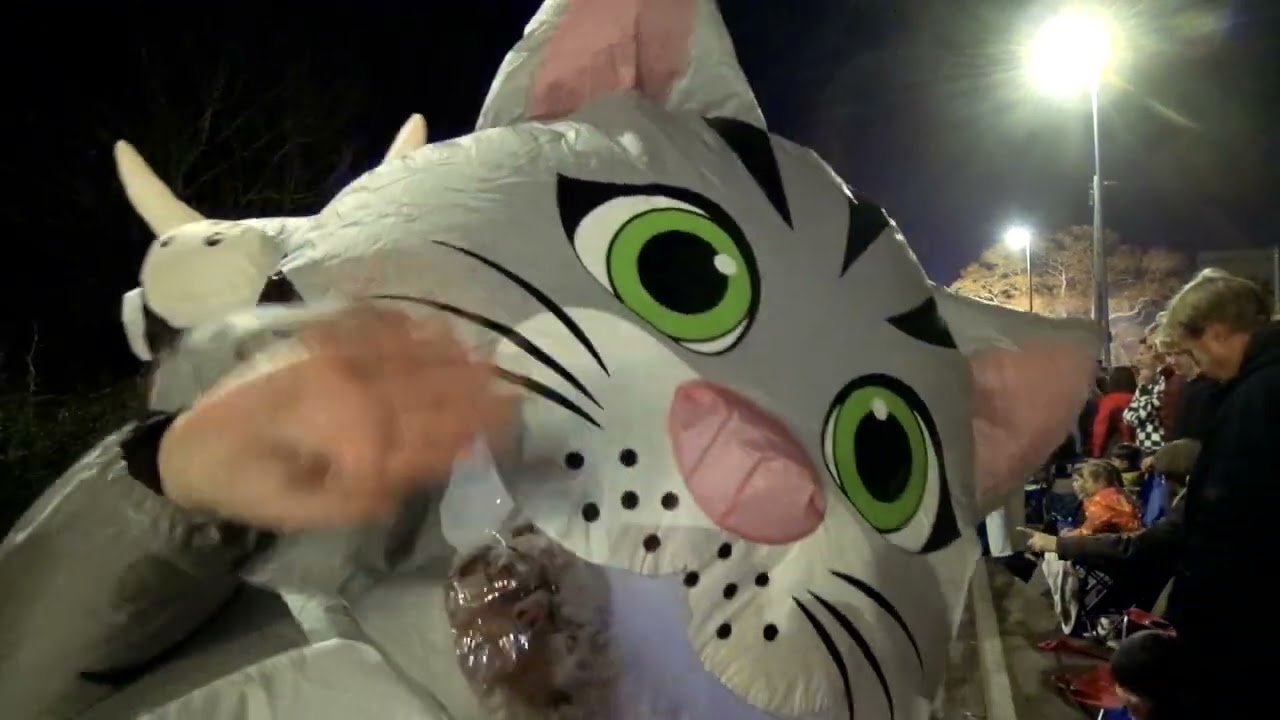 Crowd Goes Wild at North Petherton Carnival 2025