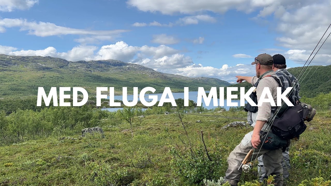 VLOGG - MED FLUGA I MIEKAK