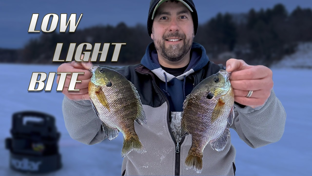 Low Light Ice Fishing Bite | Bluegill Took Over the Plan