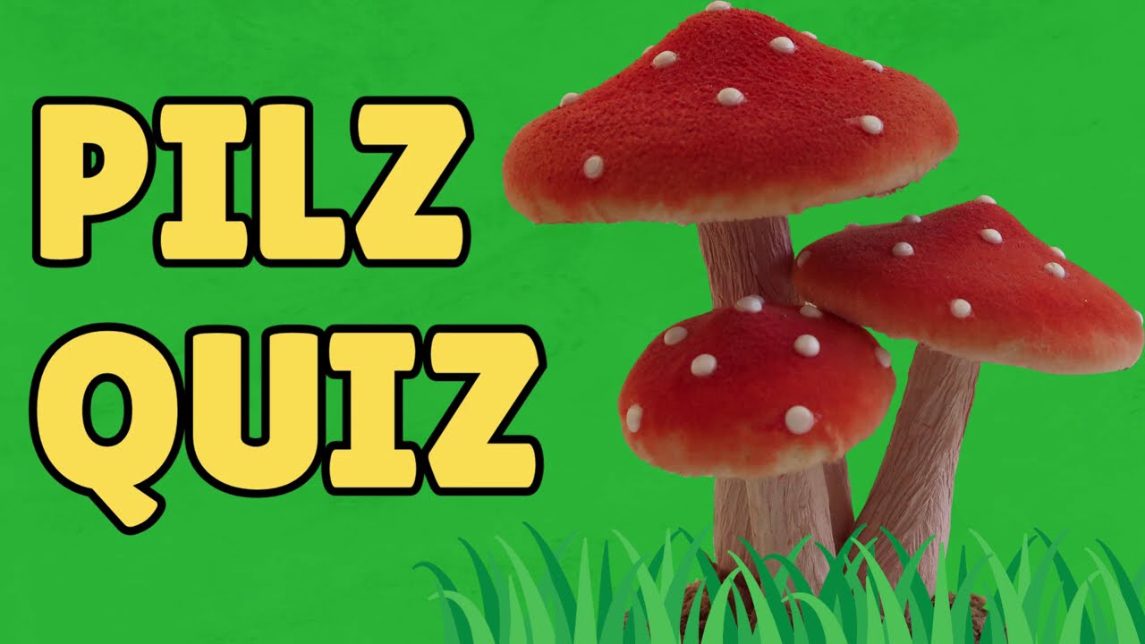 Pilz🍄Quiz❓🧠🇩🇪