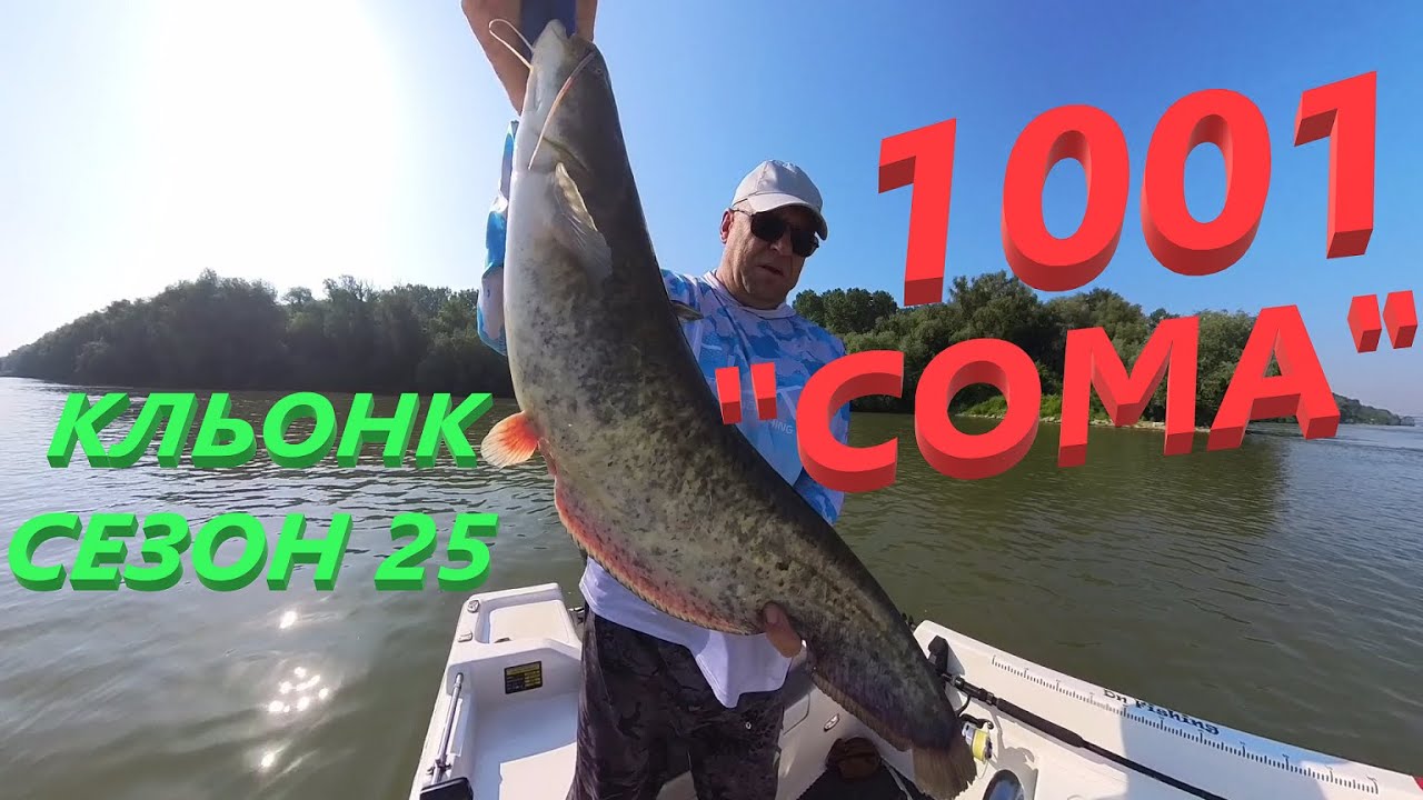 1001 СОМ-а на КЛЬОНК ! СЕЗОН 25  Река ДУНАВ ! CATFISHING : WITH CLONK ! Danube River!