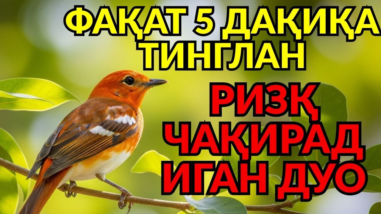 Қарздан Қутулиш Дуоси: 5 Дақиқалик Тиловат Орқали Ризқ, Барака Ва Хотиржамликни Жалб Қил