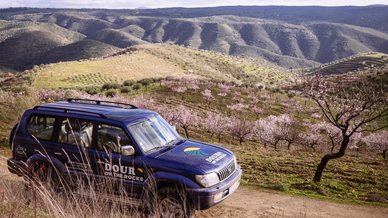 Douro On The Rocks - Rota da Amendoeira em Flor - Promo