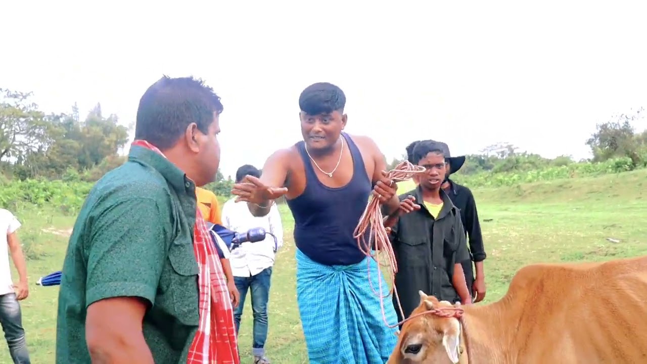 খলিল ভাইয়ে গরু ব্যবসায়ে কিভাবে বাটপারি করেন। ZF Bangla. Khalil Bhai