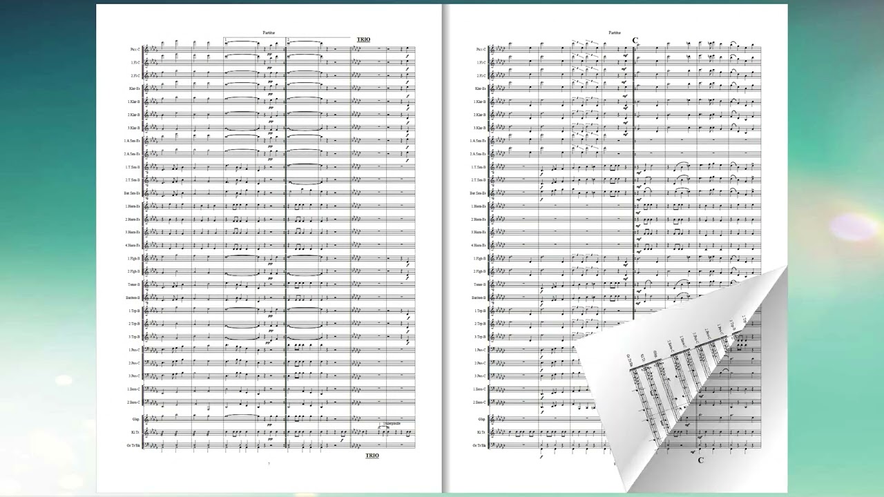 Der Stainzer Flascherlzug von Regina Pitscheneder, Arr.: Willibald Tatzer