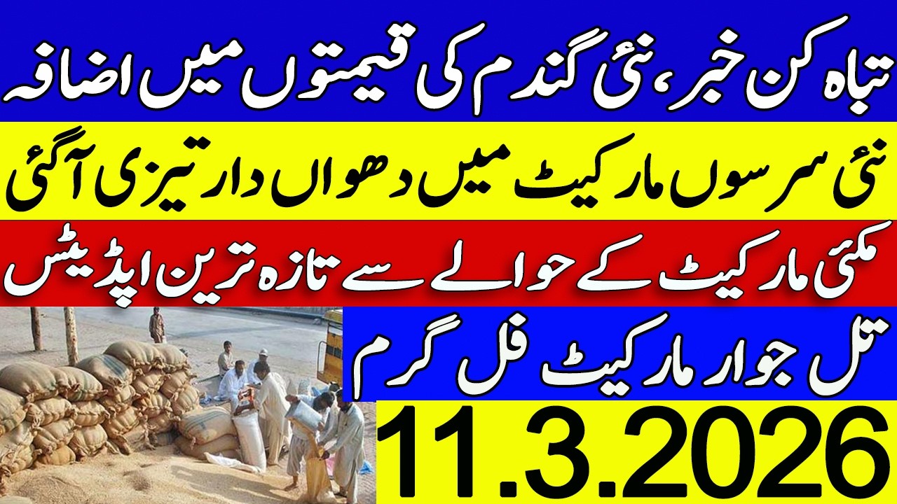 New Gandum Sarson Munji Makki till jowar Rates Galla Mandi Rates
