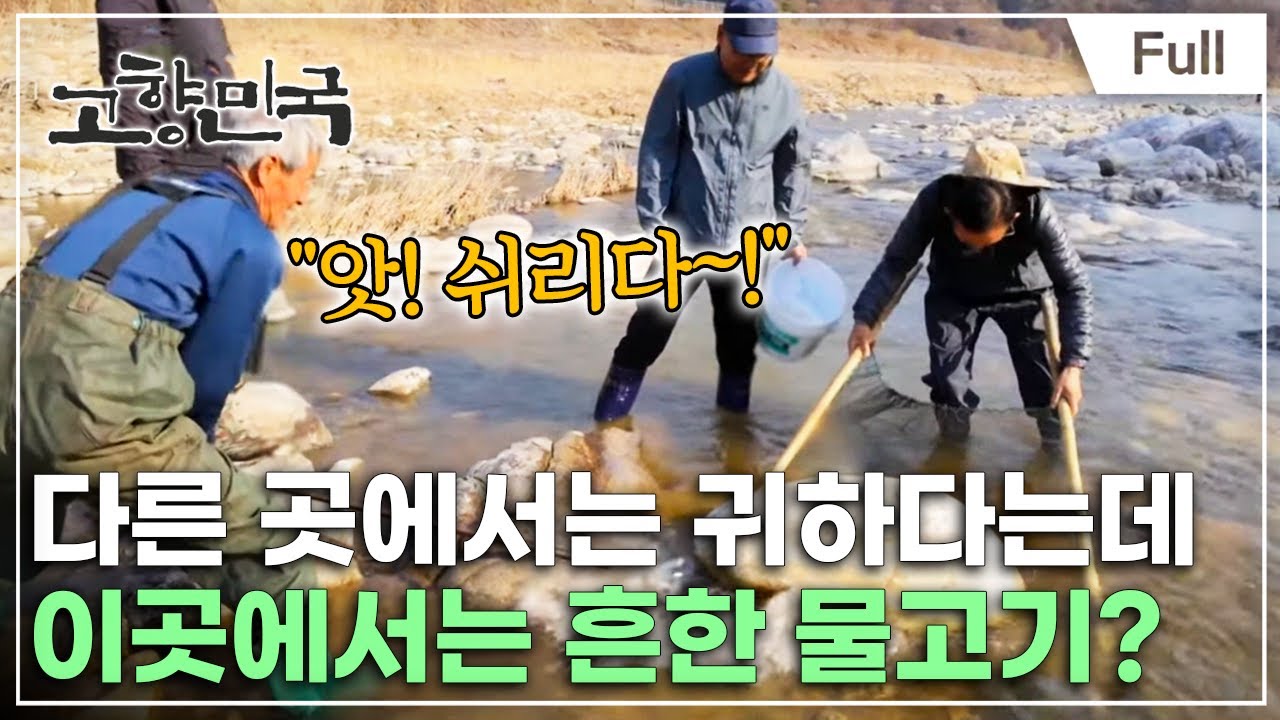 [Full] 고향민국 - 인제, 냇강에 살어리랐다