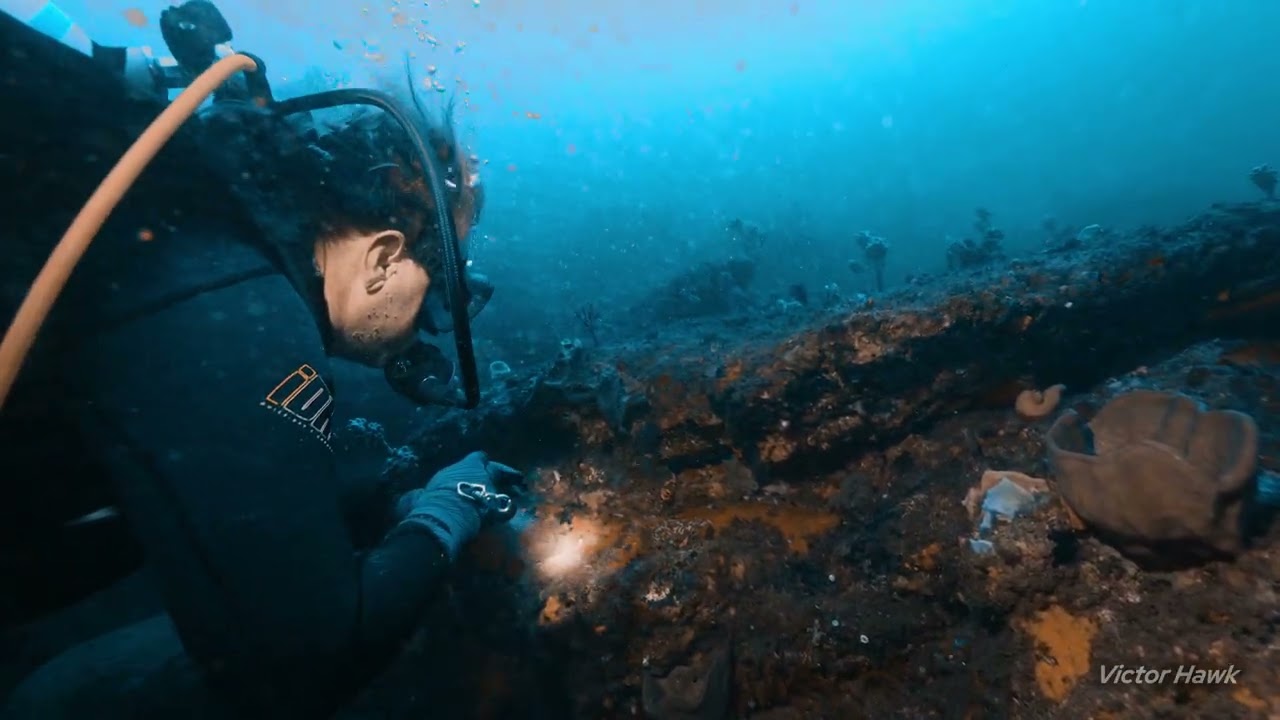Sydney, Australia scuba diving boat trips - The Xanadu Reef and Henry Head