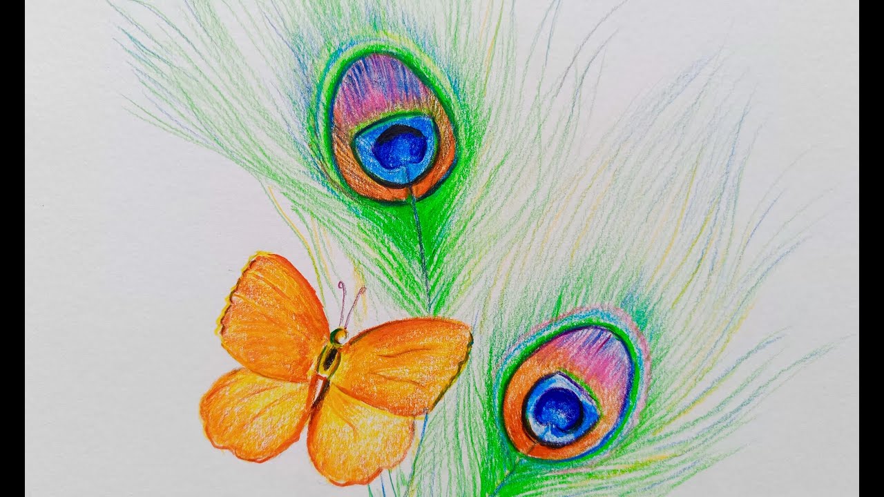 Peacock feather Drawing II Butterfly Drawing II Using Colour Pencil II Colour Pencil Art
